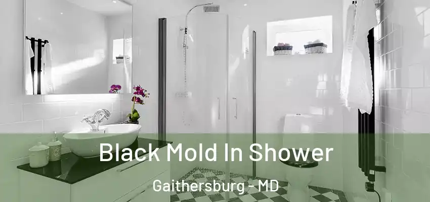 Black Mold In Shower Gaithersburg - MD