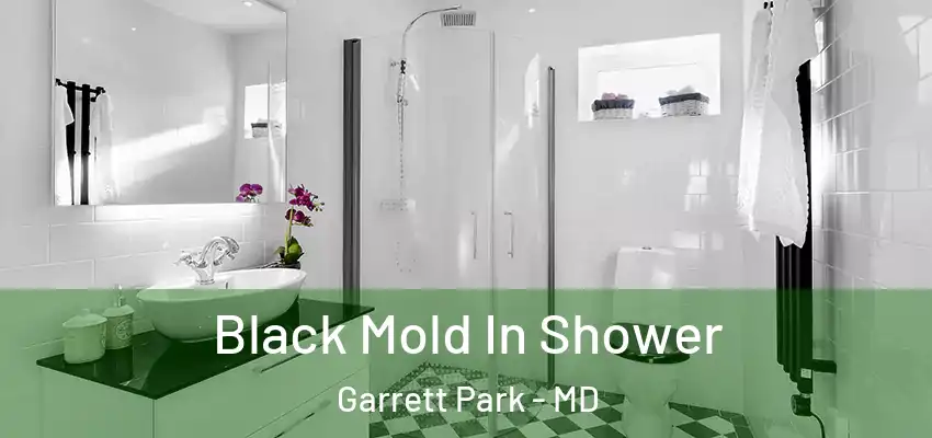 Black Mold In Shower Garrett Park - MD