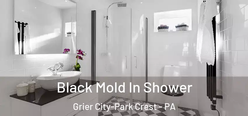 Black Mold In Shower Grier City-Park Crest - PA