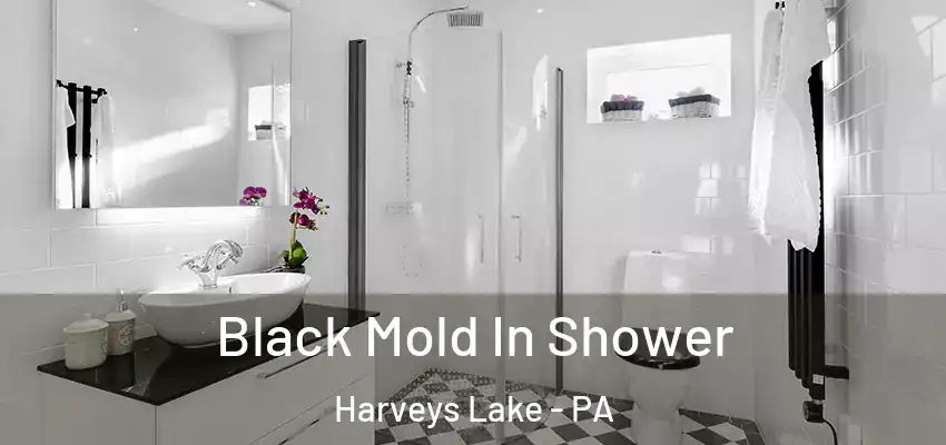 Black Mold In Shower Harveys Lake - PA