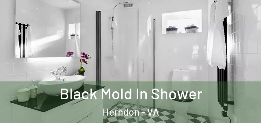  Black Mold In Shower Herndon - VA
