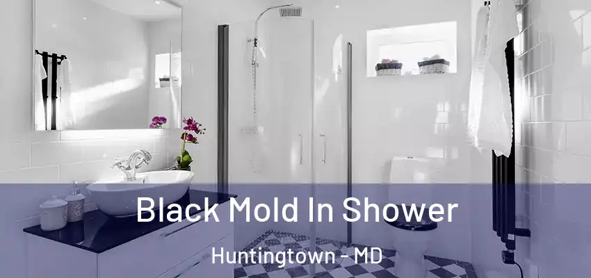  Black Mold In Shower Huntingtown - MD