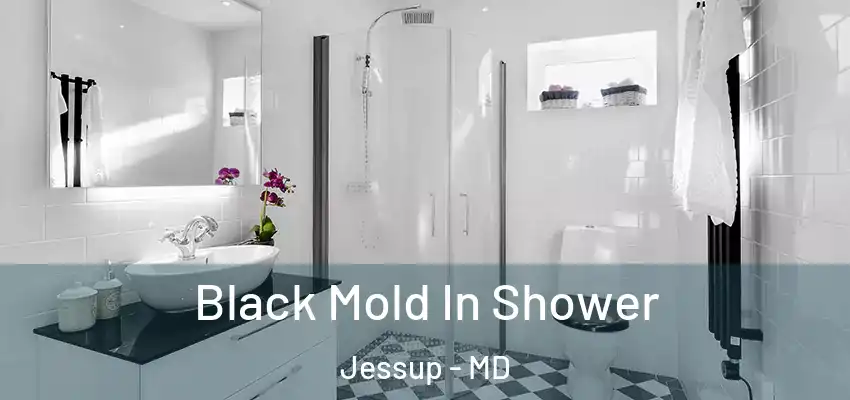 Black Mold In Shower Jessup - MD
