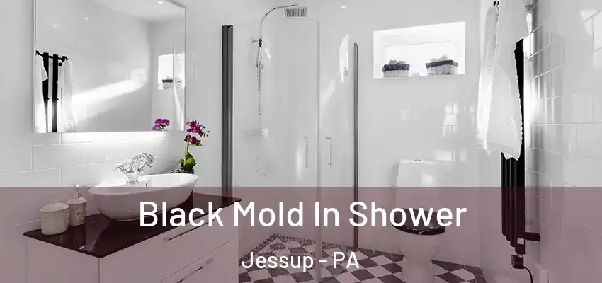Black Mold In Shower Jessup - PA