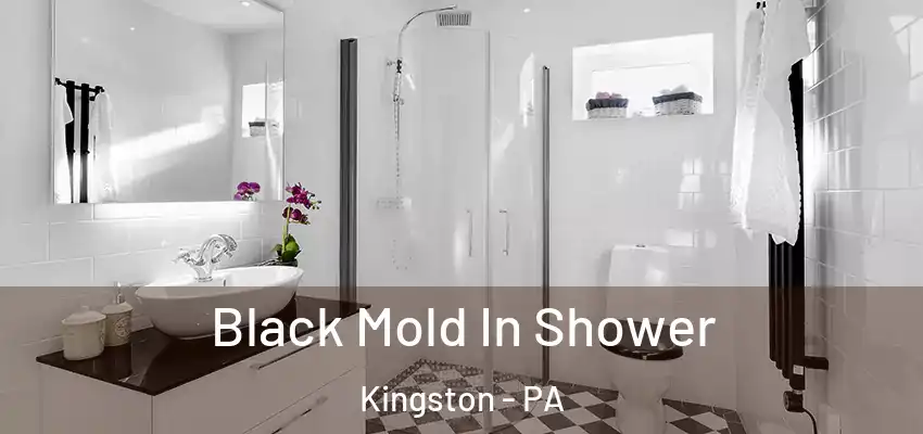 Black Mold In Shower Kingston - PA