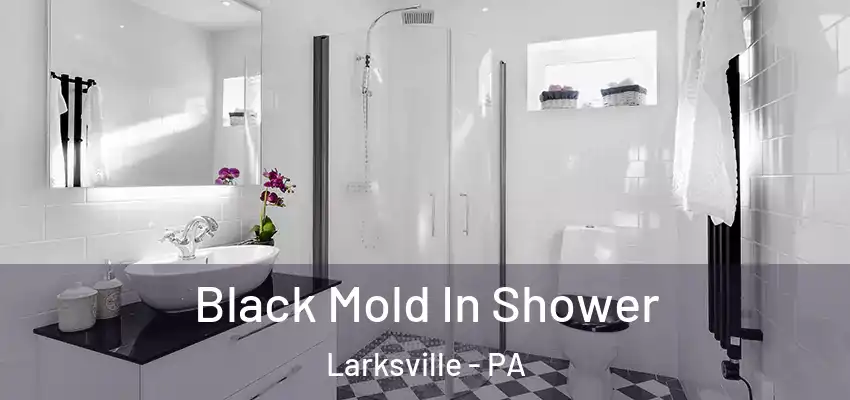 Black Mold In Shower Larksville - PA