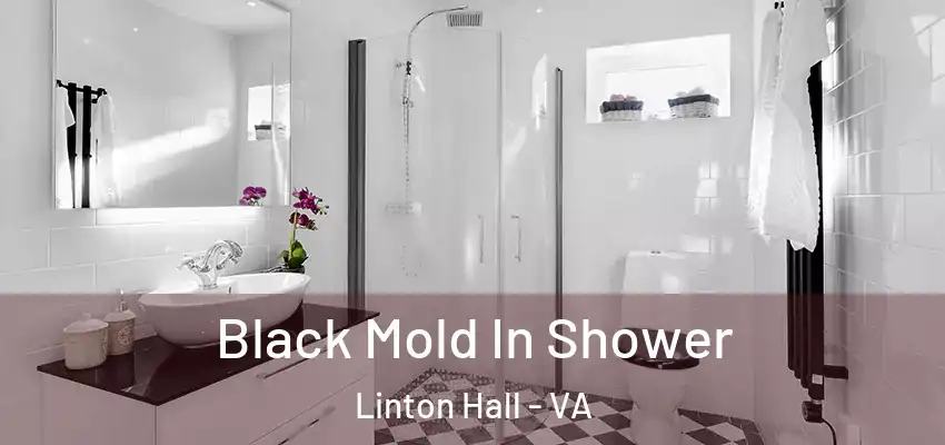  Black Mold In Shower Linton Hall - VA