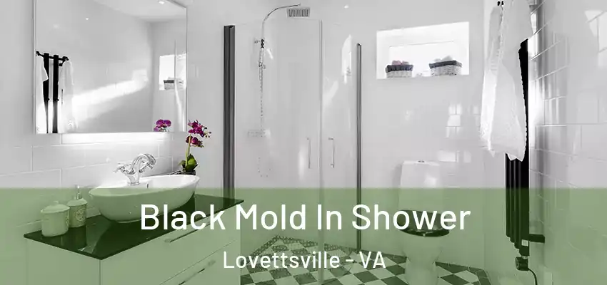 Black Mold In Shower Lovettsville - VA