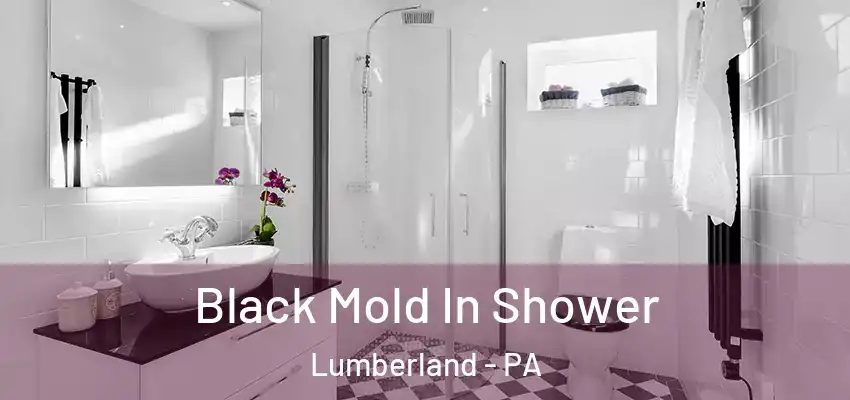 Black Mold In Shower Lumberland - PA