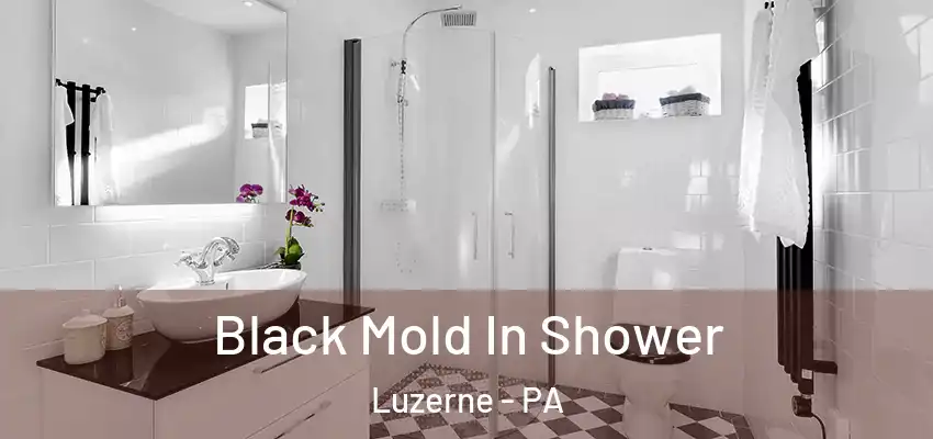 Black Mold In Shower Luzerne - PA