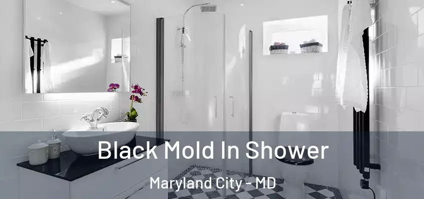 Black Mold In Shower Maryland City - MD