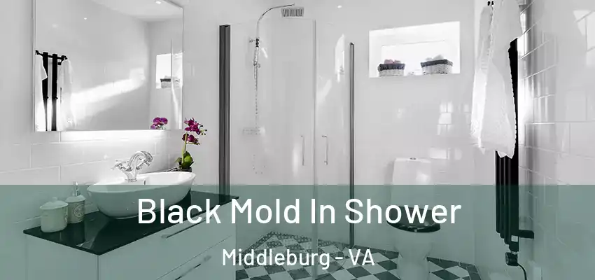  Black Mold In Shower Middleburg - VA