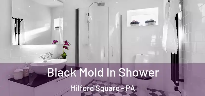 Black Mold In Shower Milford Square - PA