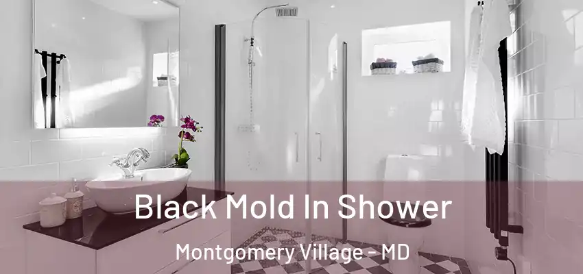 Black Mold In Shower Montgomery Village - MD