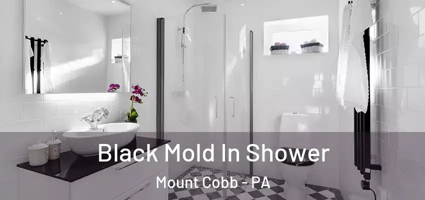 Black Mold In Shower Mount Cobb - PA