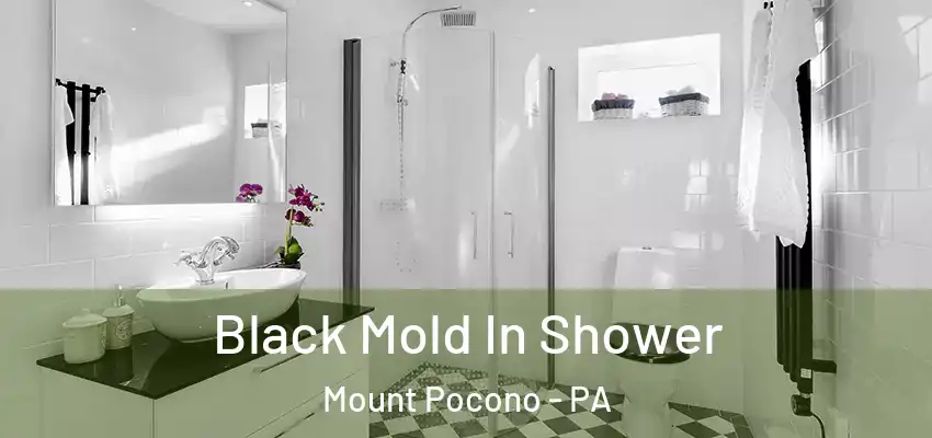 Black Mold In Shower Mount Pocono - PA