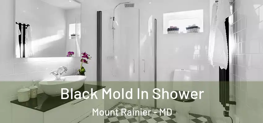 Black Mold In Shower Mount Rainier - MD
