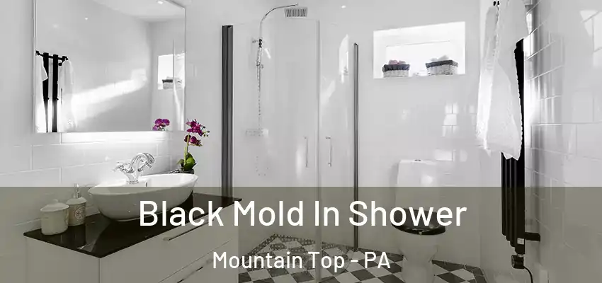 Black Mold In Shower Mountain Top - PA