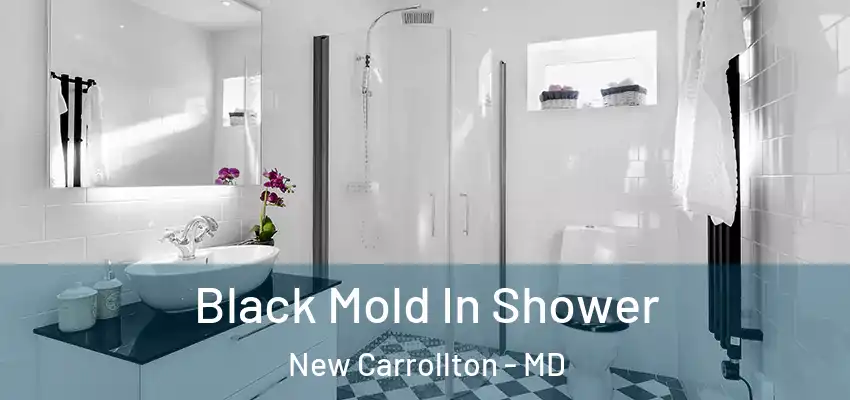 Black Mold In Shower New Carrollton - MD