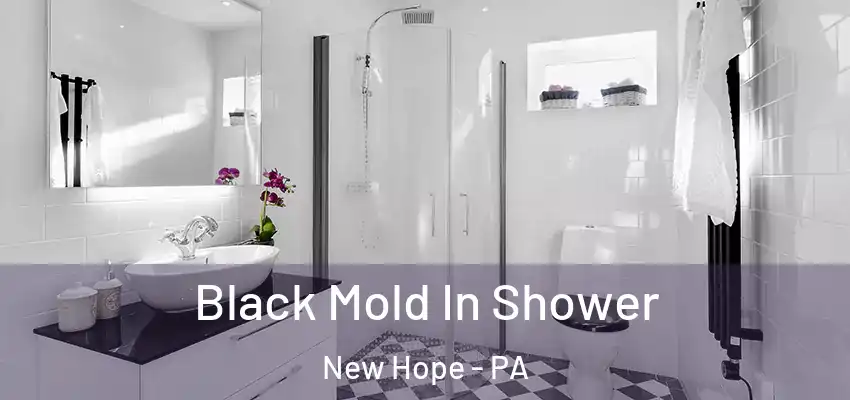 Black Mold In Shower New Hope - PA