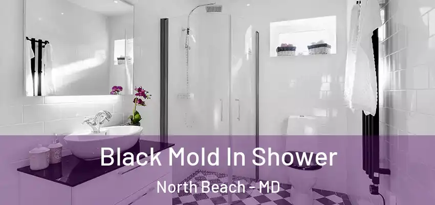 Black Mold In Shower North Beach - MD