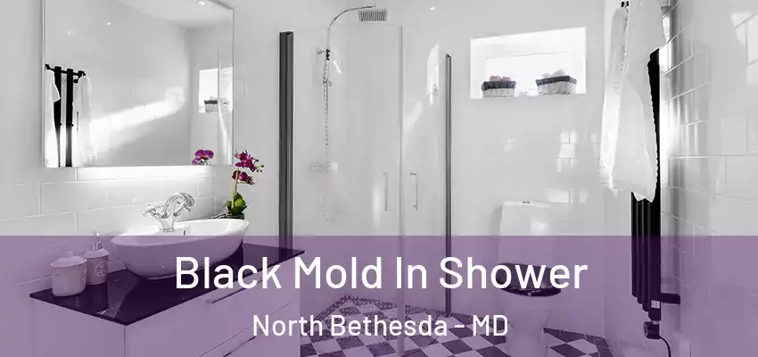 Black Mold In Shower North Bethesda - MD