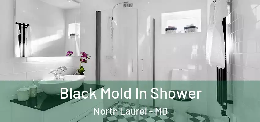 Black Mold In Shower North Laurel - MD