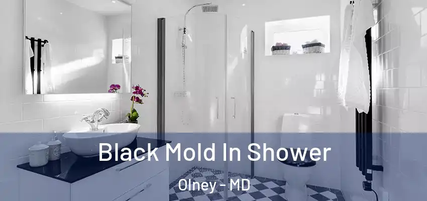  Black Mold In Shower Olney - MD