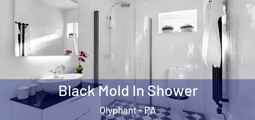 Black Mold In Shower Olyphant - PA