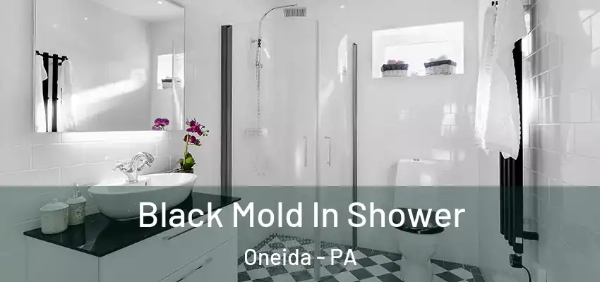 Black Mold In Shower Oneida - PA