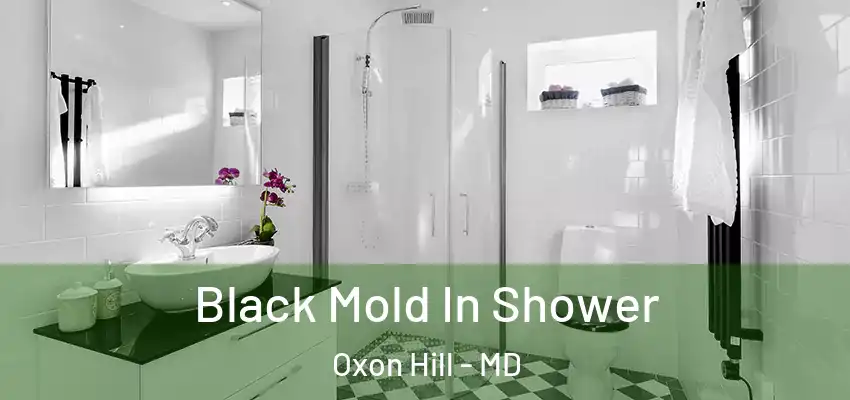  Black Mold In Shower Oxon Hill - MD