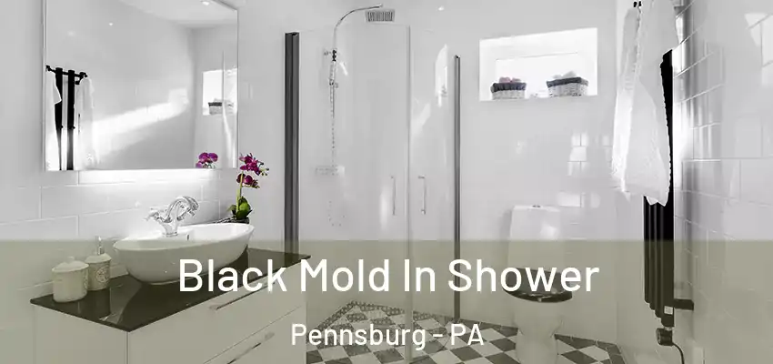  Black Mold In Shower Pennsburg - PA