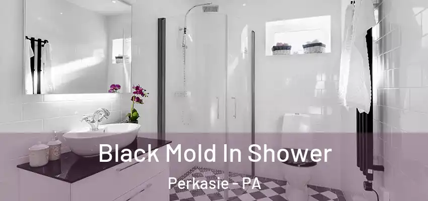  Black Mold In Shower Perkasie - PA