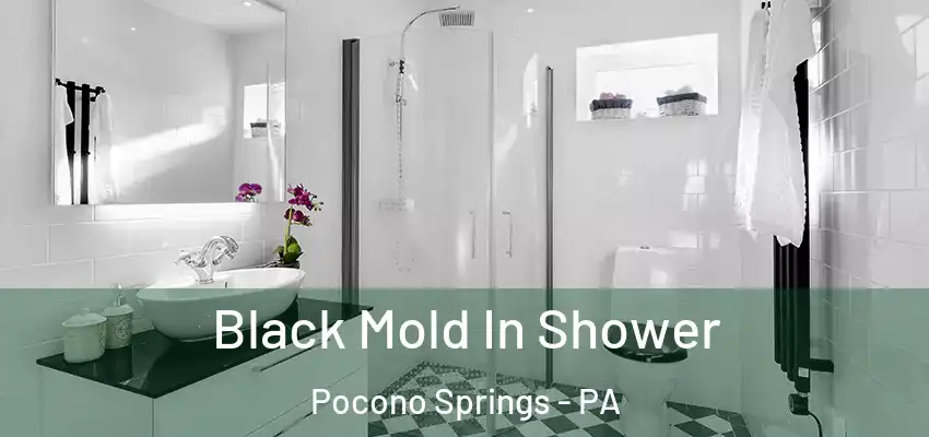 Black Mold In Shower Pocono Springs - PA