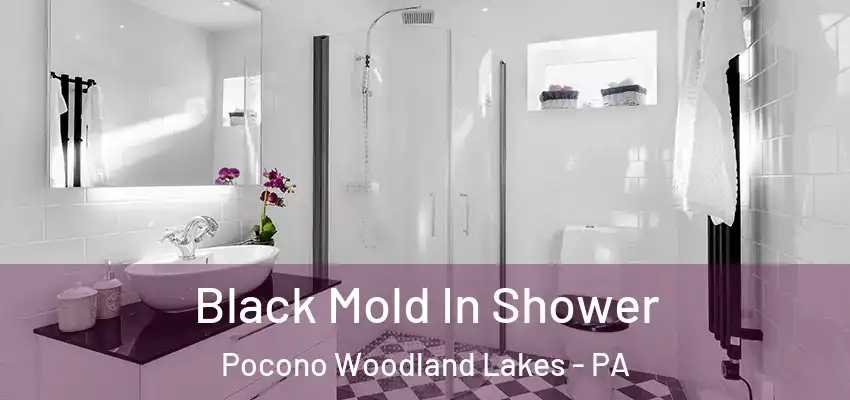 Black Mold In Shower Pocono Woodland Lakes - PA