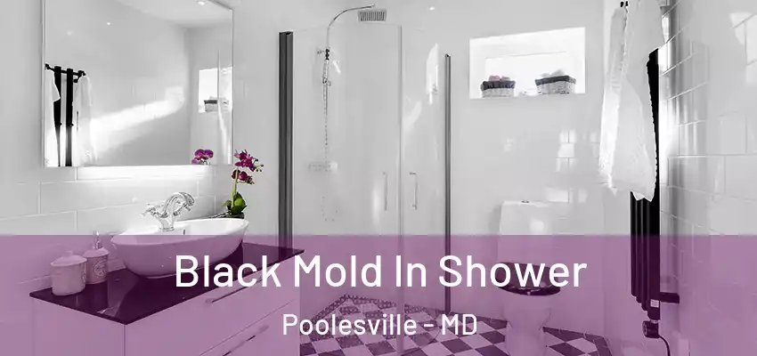 Black Mold In Shower Poolesville - MD