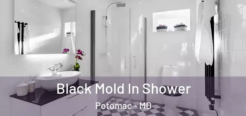 Black Mold In Shower Potomac - MD