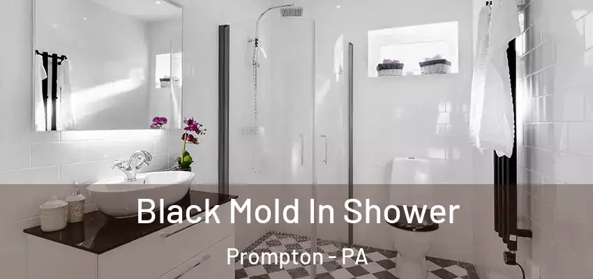 Black Mold In Shower Prompton - PA