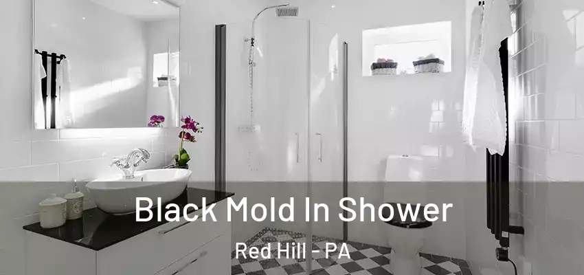  Black Mold In Shower Red Hill - PA
