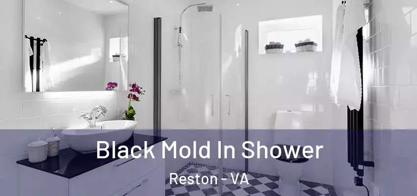  Black Mold In Shower Reston - VA