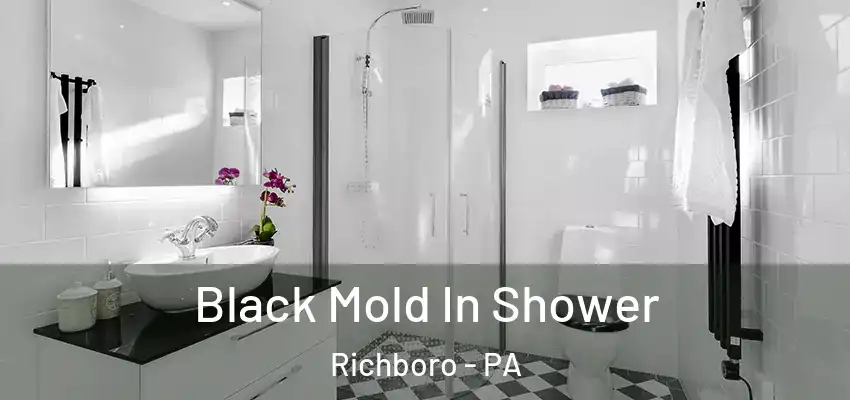  Black Mold In Shower Richboro - PA