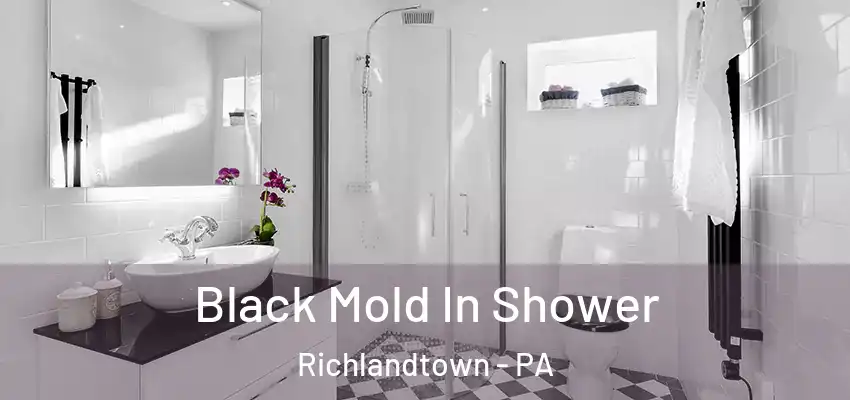 Black Mold In Shower Richlandtown - PA