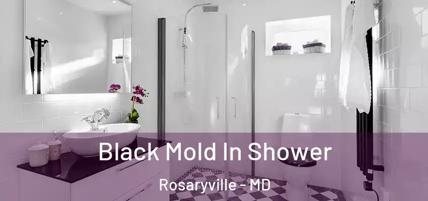 Black Mold In Shower Rosaryville - MD