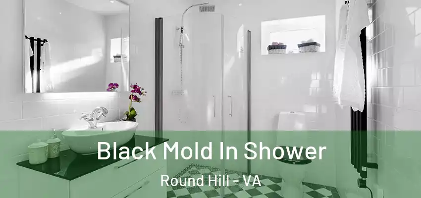  Black Mold In Shower Round Hill - VA