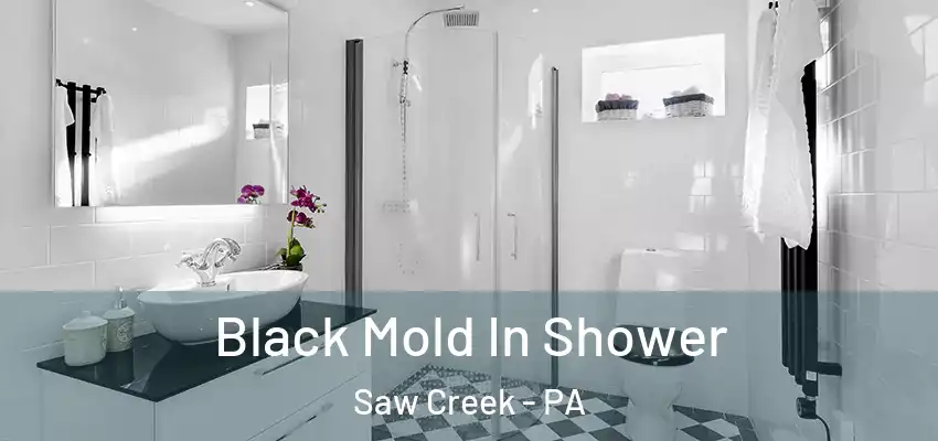 Black Mold In Shower Saw Creek - PA