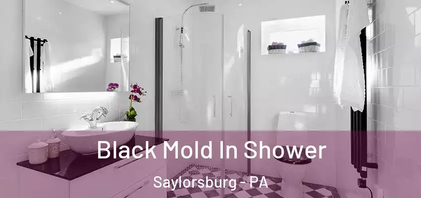 Black Mold In Shower Saylorsburg - PA