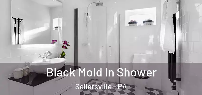  Black Mold In Shower Sellersville - PA