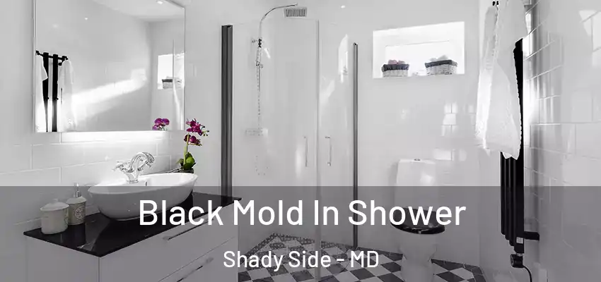 Black Mold In Shower Shady Side - MD