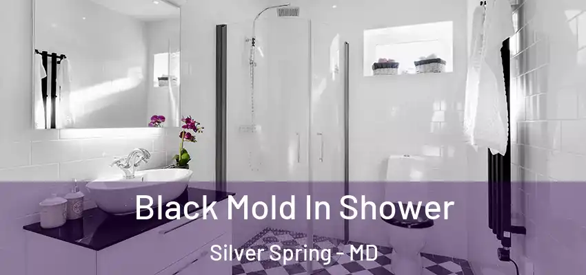  Black Mold In Shower Silver Spring - MD
