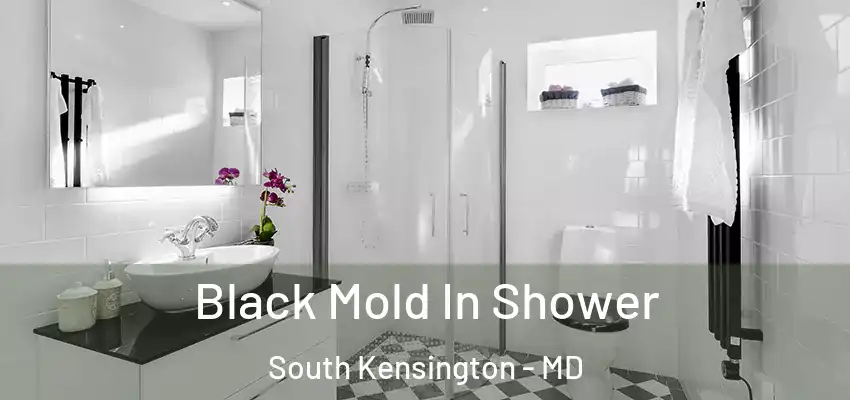 Black Mold In Shower South Kensington - MD